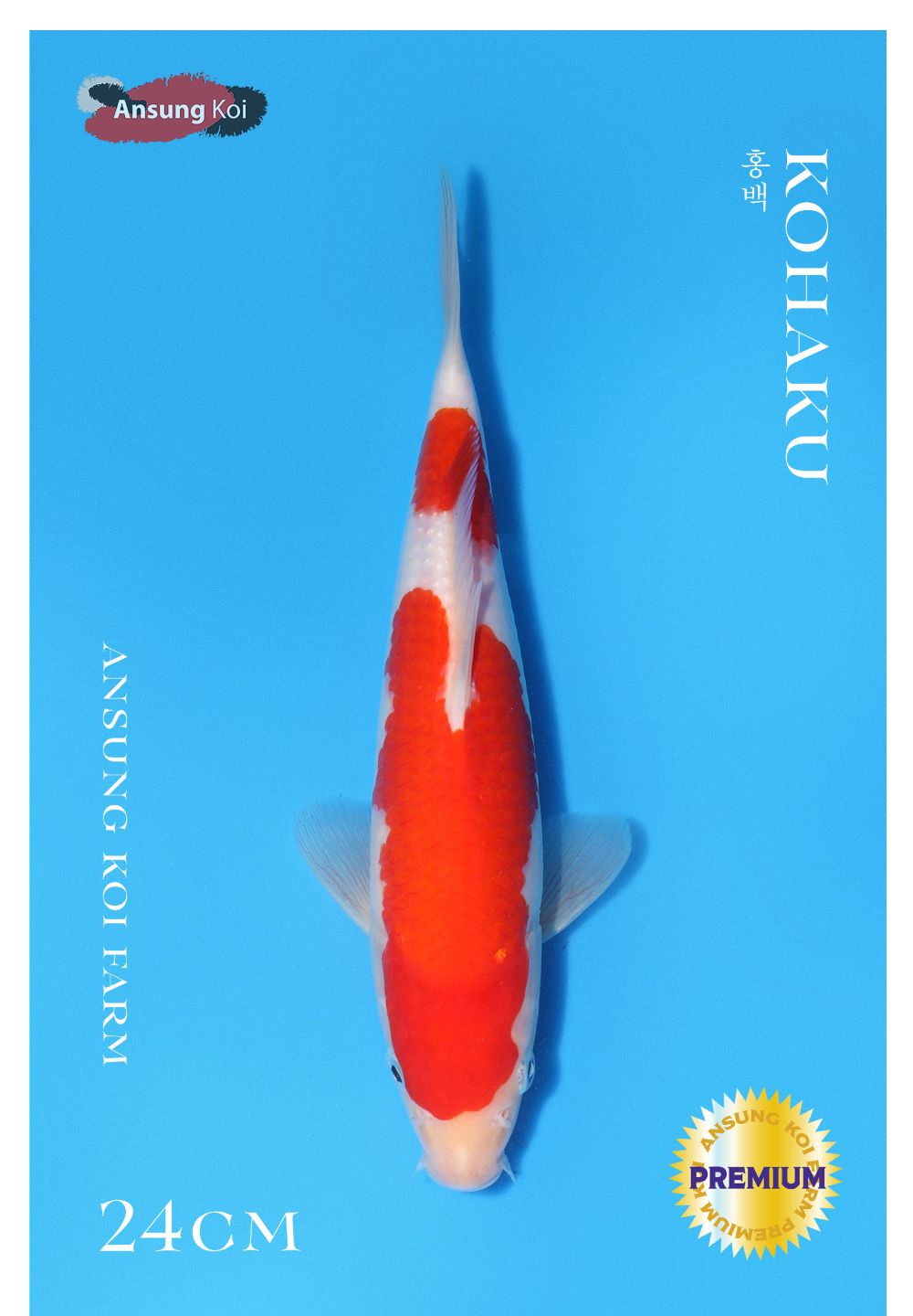 악세사리 레드 색상 이미지-S1L4