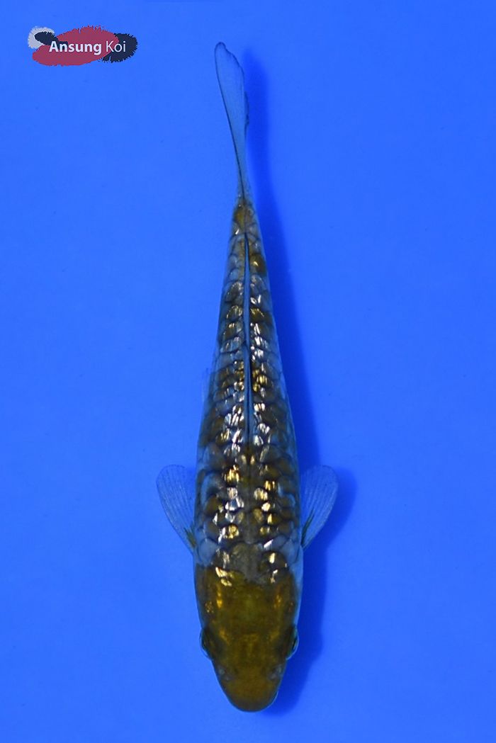 121_detail1.jpg