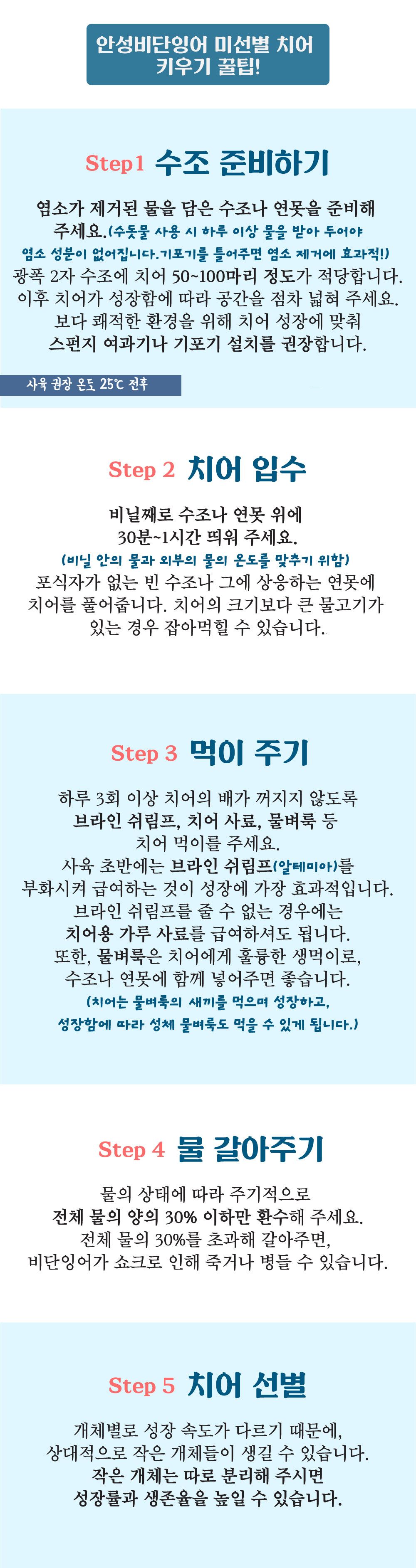 악세사리 -S1L38