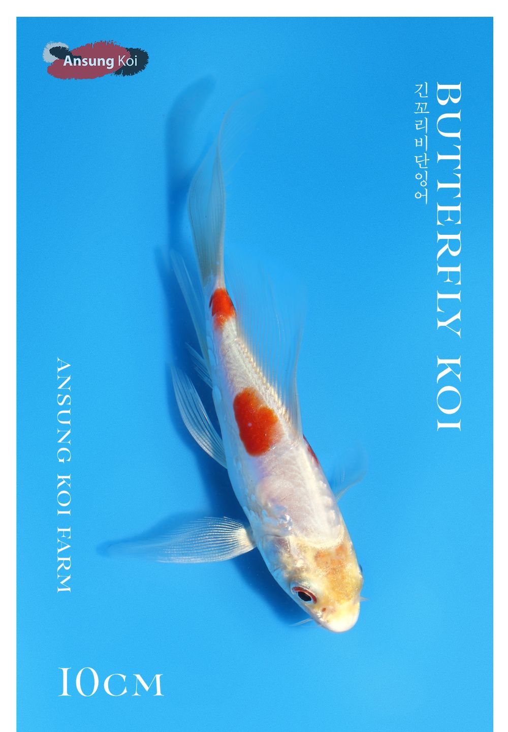 점퍼 상품상세 이미지-S1L13