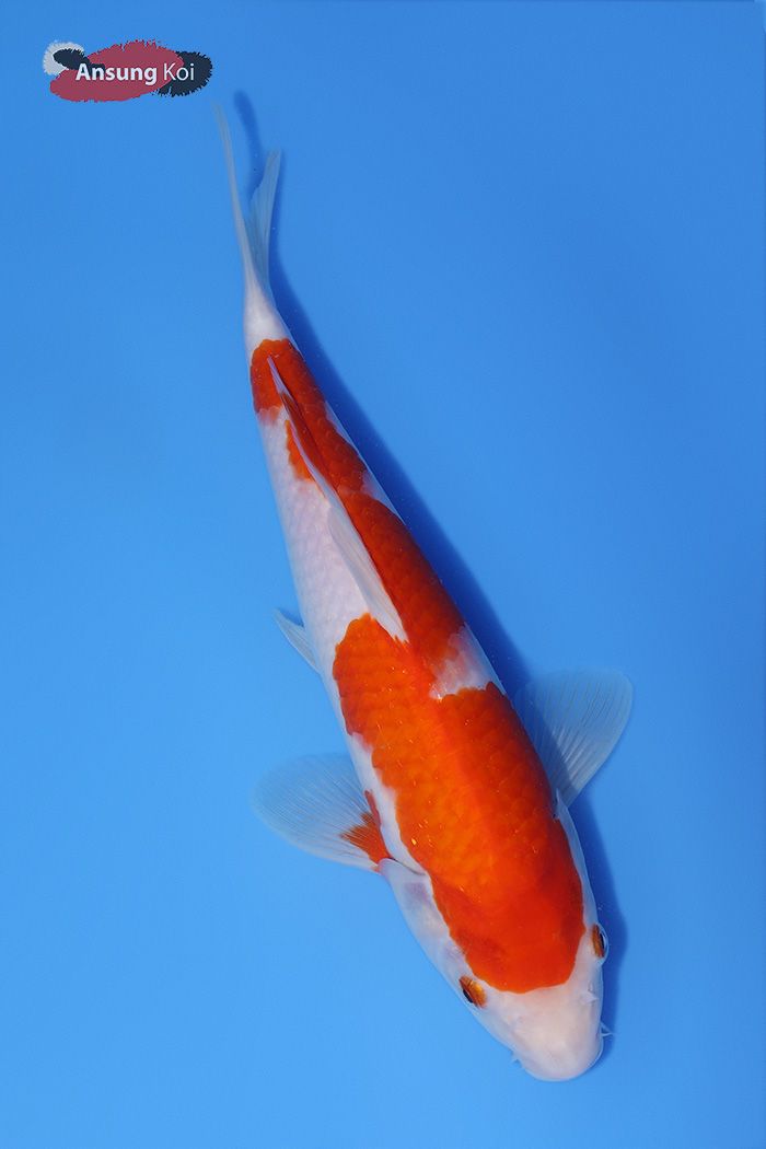 818_detail3.jpg