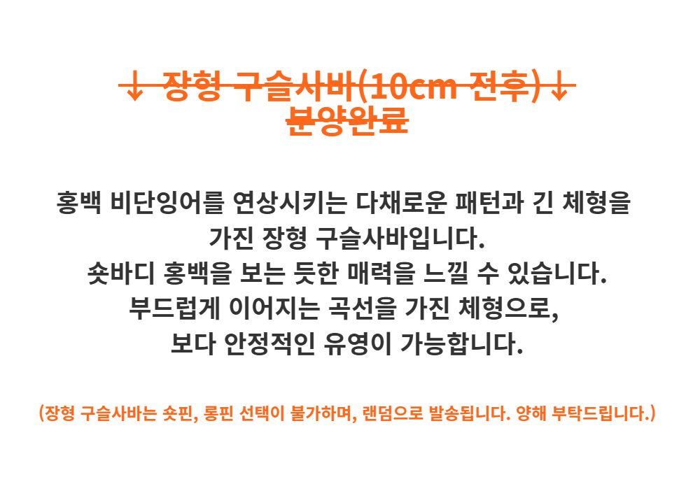 악세사리 -S3L11