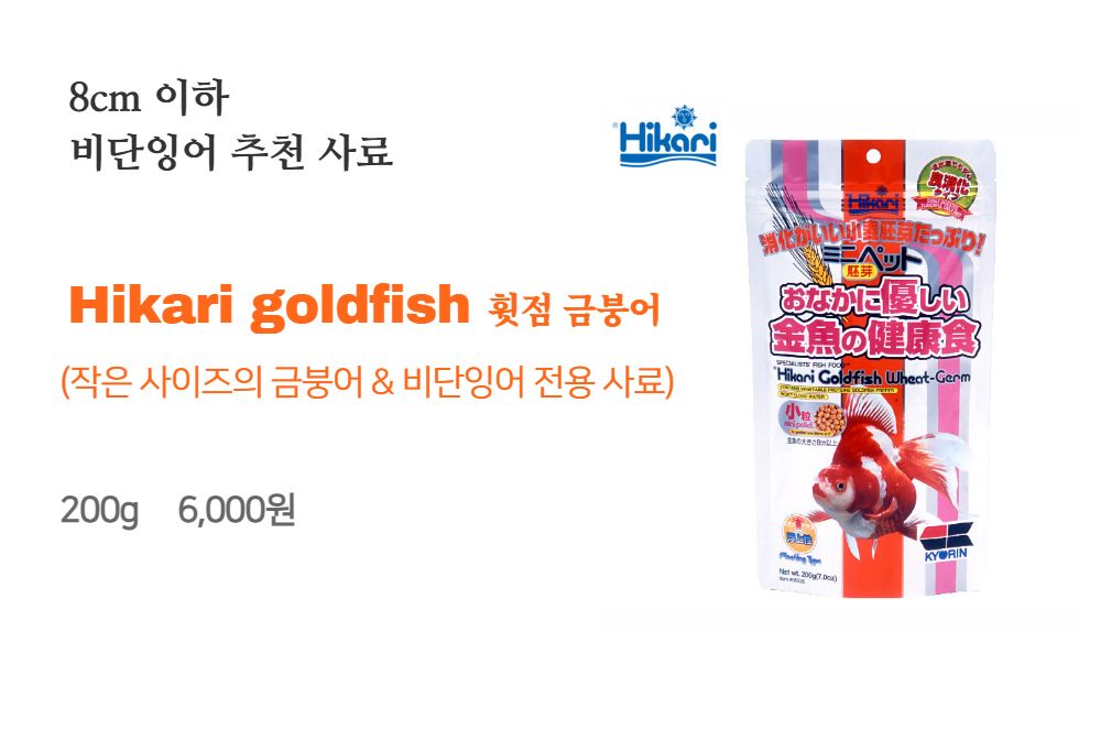 악세사리 -S20L1